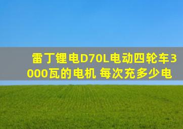 雷丁锂电D70L电动四轮车3000瓦的电机 每次充多少电